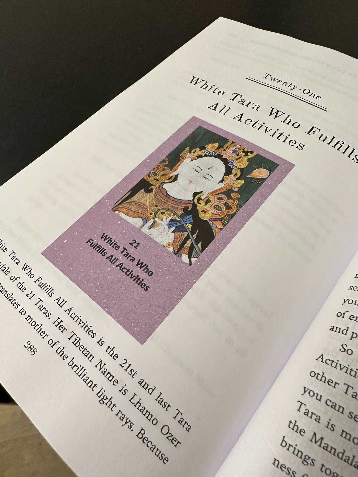 E-book Tārā Illuminated The Mandala of the 21 Tārās by Shubha Melissa Abbott