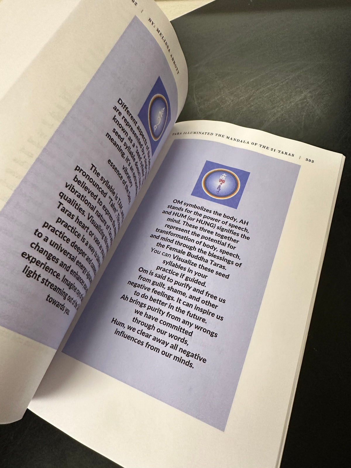 E-book Tārā Illuminated The Mandala of the 21 Tārās by Shubha Melissa Abbott